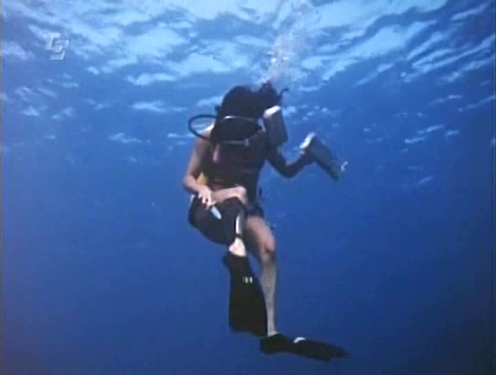 Scuba woman attacks diver hart photos
