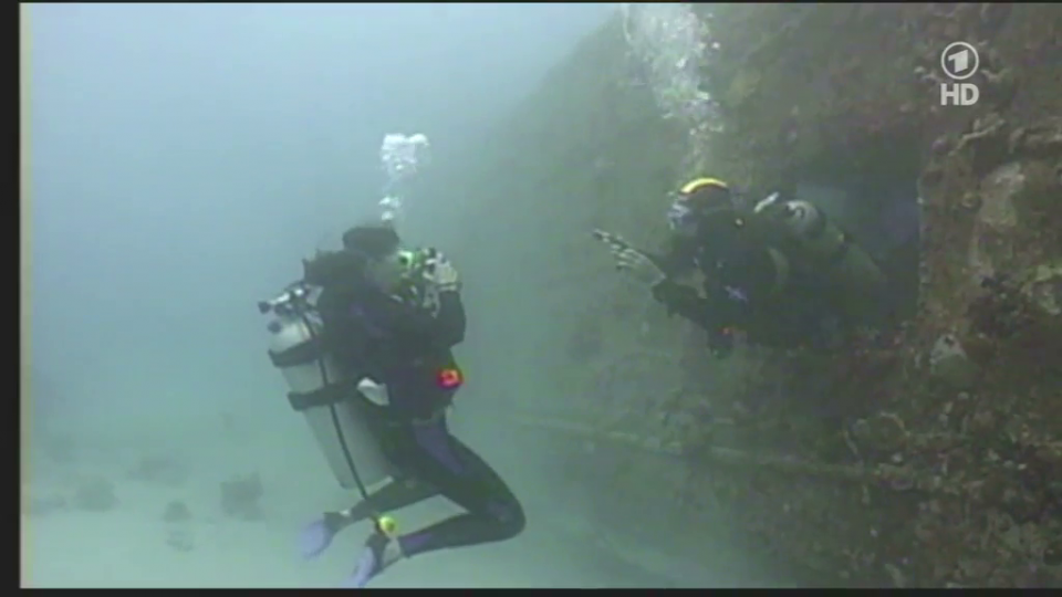 Frogwoman Org - Page 28 of 40 - Female scuba divers in action