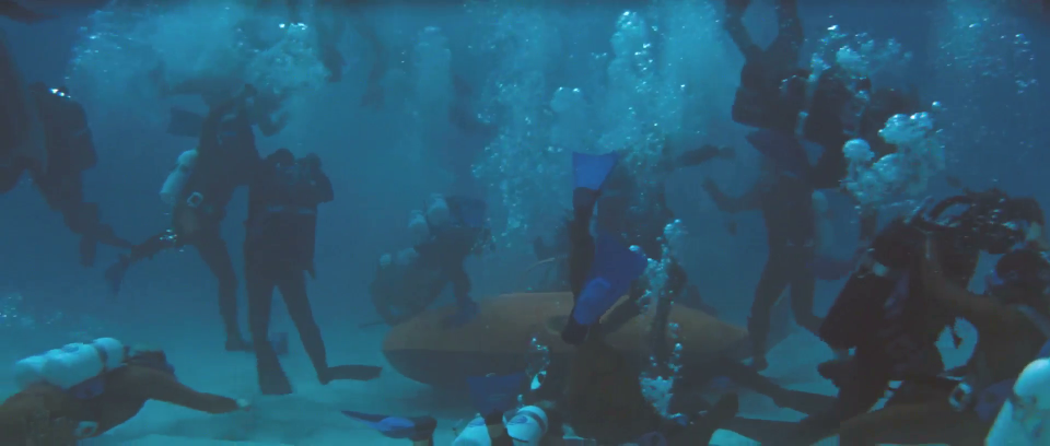 Frogwoman Org - Page 23 of 40 - Female scuba divers in action ...
