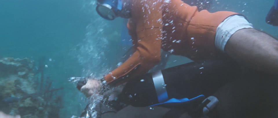 Frogwoman Org - Page 23 of 40 - Female scuba divers in action ...