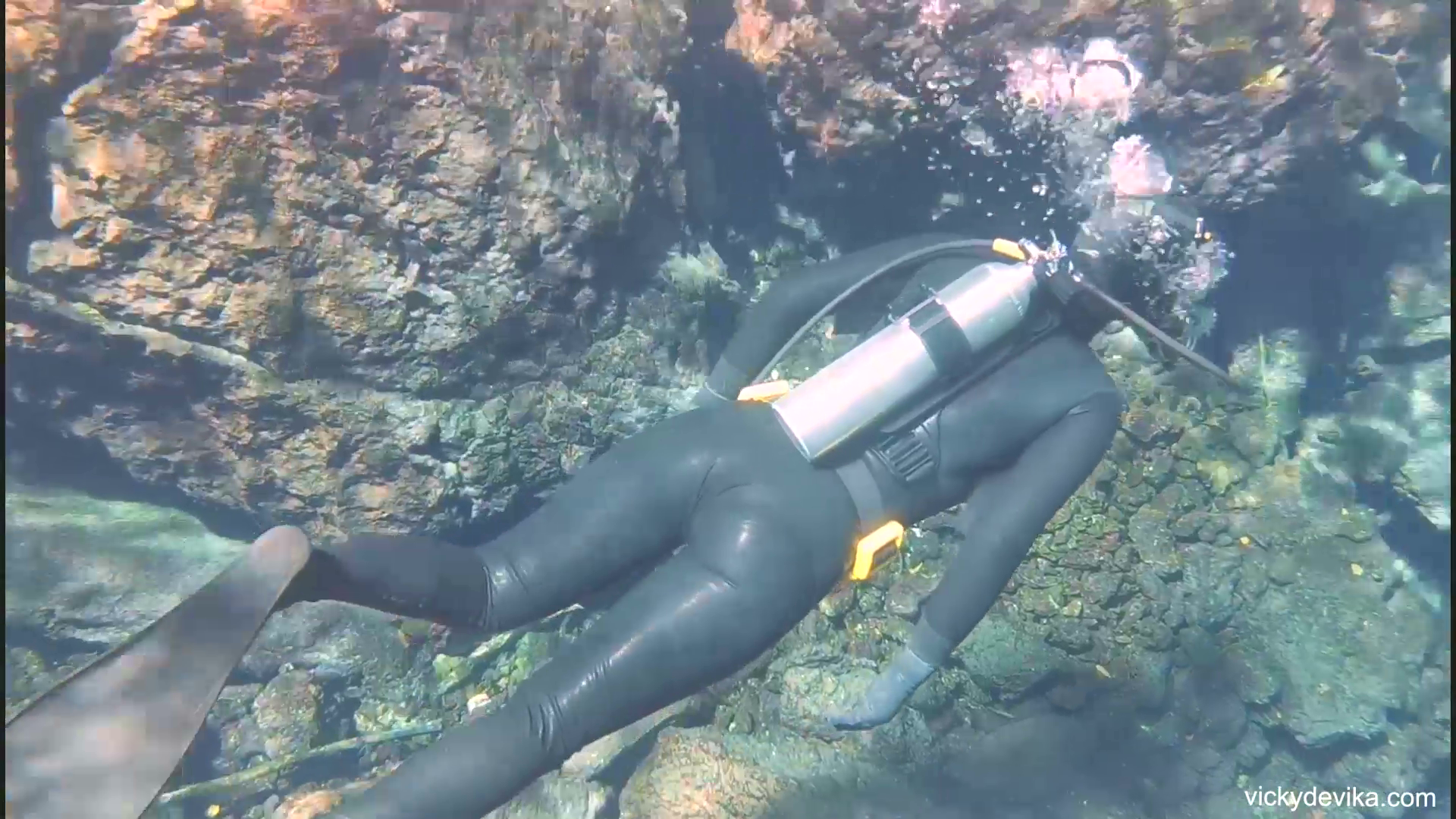 Kelly monaco scuba diving accident
