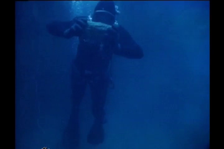 Frogwoman Org - Page 5 of 41 - Female scuba divers in action, including ...