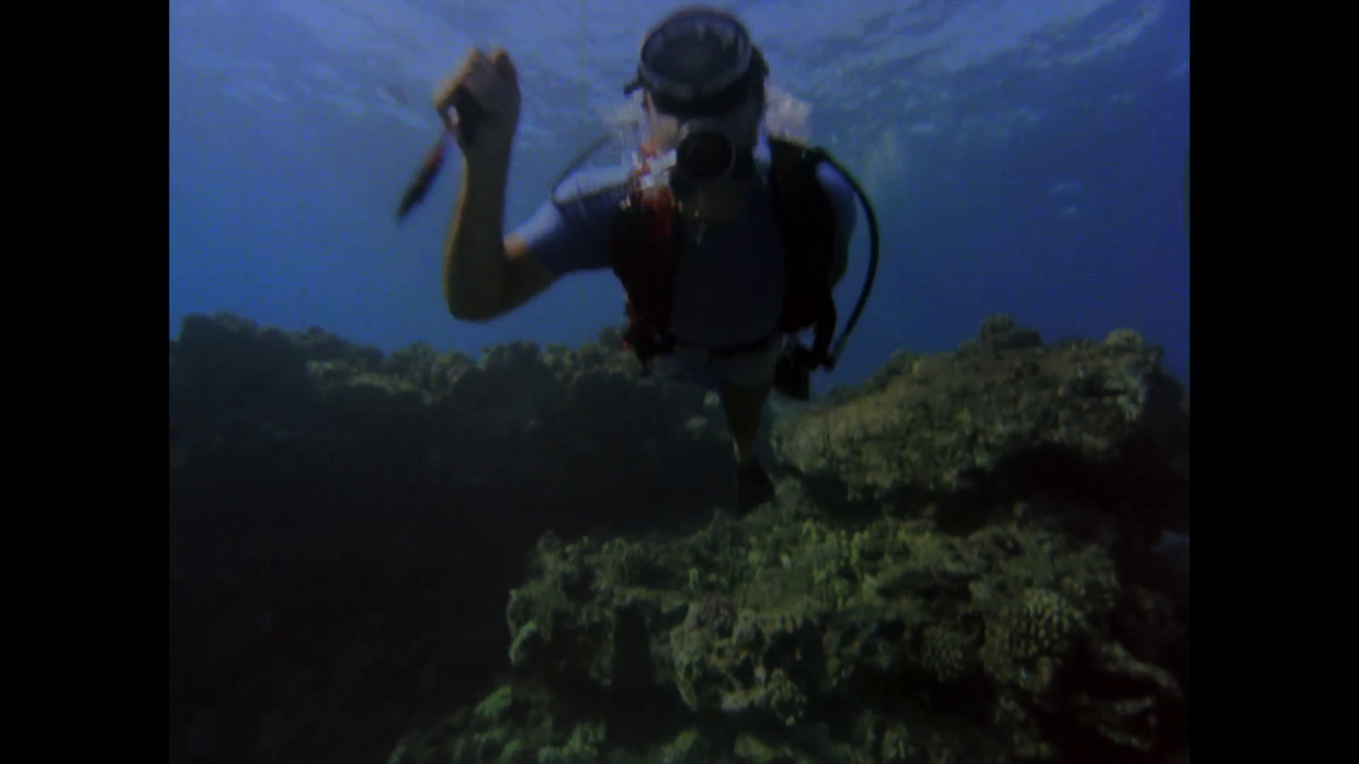 Frogwoman Org - Page 4 of 41 - Female scuba divers in action, including
